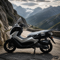 Максискутер tmax