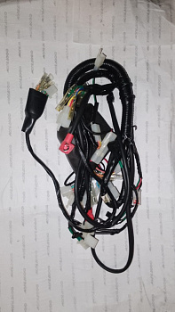 Жгут проводов TTR250Rb  в мотомагазине Мопедофф т. 88129814555.
