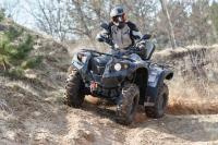 Квадроцикл Baltmotors Striker 500 EFI