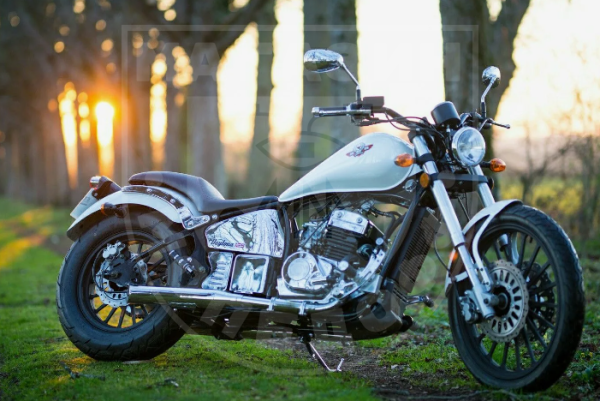 Мотоцикл Regal Raptor DD350E-2A