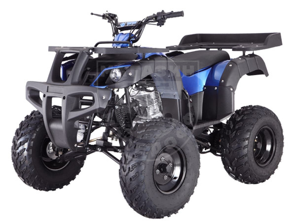 Квадроцикл TAO RHINO 250 синий в интернет - магазине МОПЕДОФФ.