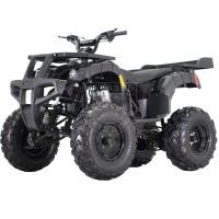 Квадроцикл TAO Rhino ATV250 Black