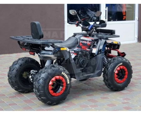 TAO motors Квадроцикл Comman Scorpion ATV200 Black лебедка
