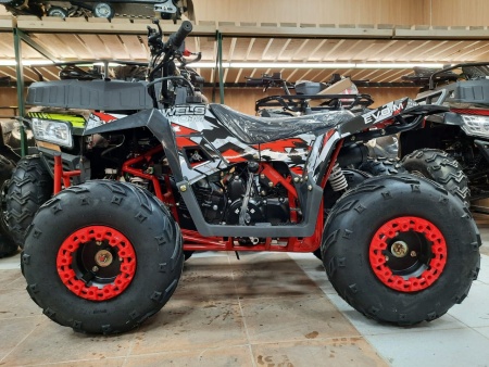 WELS Квадроцикл WELS THUNDER EVO M 110 r