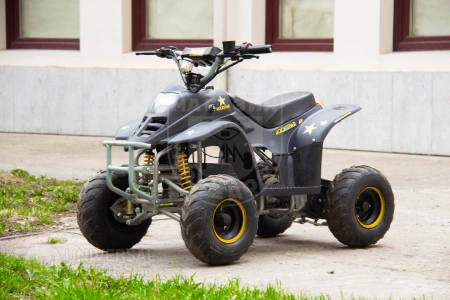 Bison Квадроцикл Bison Super Mini Electro black