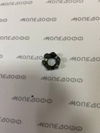photo1677600234 (6)