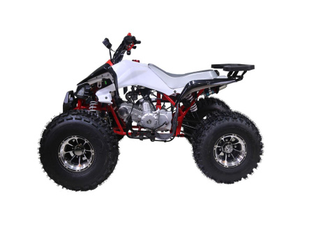 TAO motors Квадроцикл NEW CHEETAH 125