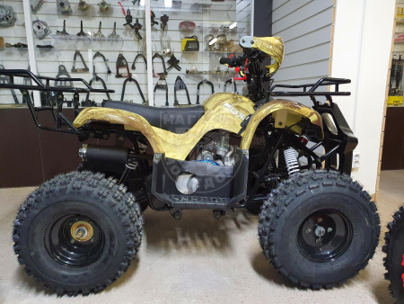 Motoland Комплект запчастей Motoland FOX ATV 125U купить в Мопедофф www.9814555.ru