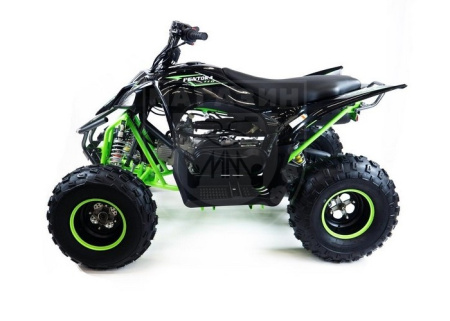 Rmoto Квадроцикл Rmoto PENTORA 1000W синий