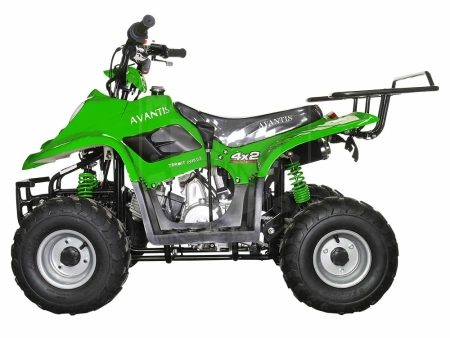 AVANTIS квадроцикл Avantis Termit Junior 110сс 4т (110 кубов) (зелёный)