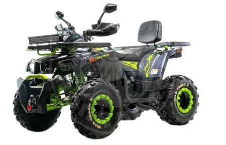 Motoland Квадроцикл MOTOLAND ATV 200 WILD TRACK X WINCH купить в Мопедофф www.9814555.ru