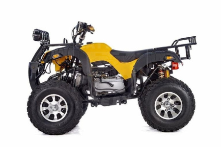 RAPTOR Квадроцикл RAPTOR MAX PRO 250 (жёлтый)