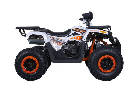 TAO motors Квадроцикл RAPTOR 200