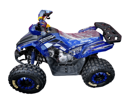 Motoland Квадроцикл MOTOLAND 125 COYOTE PRO купить в Мопедофф www.9814555.ru