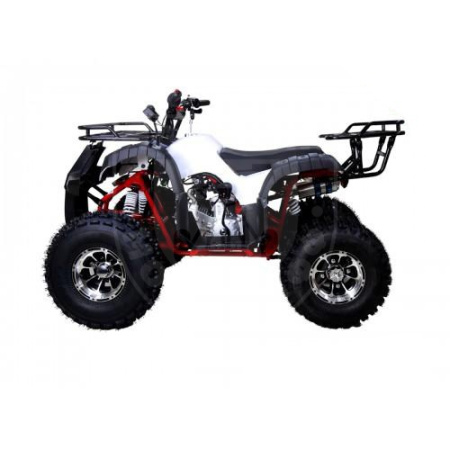 TAO motors Квадроцикл TAO NEW T-FORCE белый