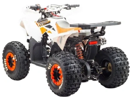 Motoland Квадроцикл MOTOLAND 125 COYOTE PRO orange купить в Мопедофф www.9814555.ru