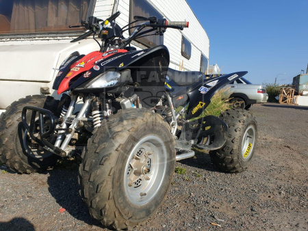 ABM Квадроцикл ABM Scorpion 250B