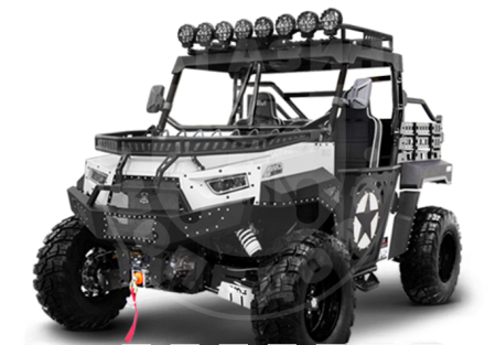 BMS Багги BMS THE BEAST 1000 2S белый