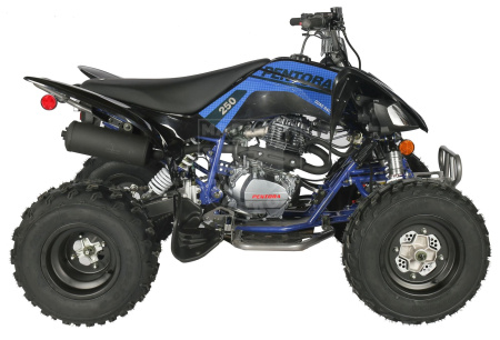 Apollo Квадроцикл Apollo PENTORA 250 синий