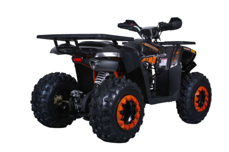 TAO motors Квадроцикл RAPTOR 200