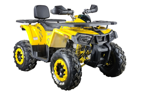 Motoland Квадроцикл MOTOLAND ATV 200 WILD TRACK X WINCH желтый купить в Мопедофф www.9814555.ru