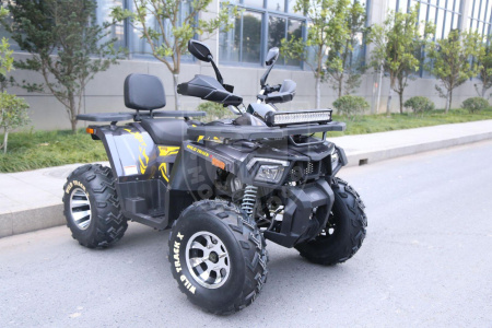 Motoland Комплект запчастей Motoland WILD TRACK X PRO 200 купить в Мопедофф www.9814555.ru
