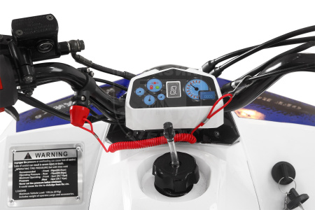 Yacota Квадроцикл YACOTA RAPOSA 110cc белый