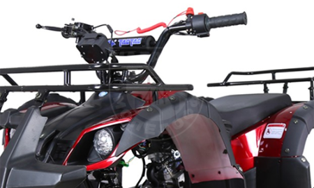 TAO motors Квадроцикл TAO T125(TFORCE) красный