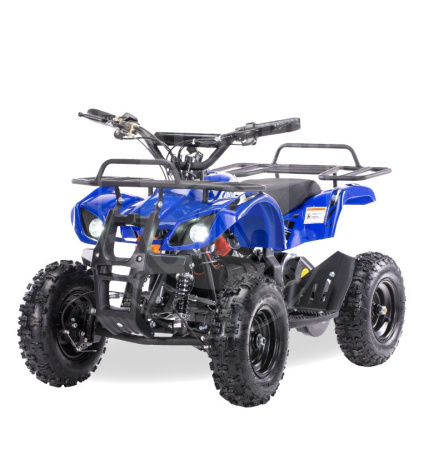 MOTAX MOTAX Mini Grizlik X-16 1000W