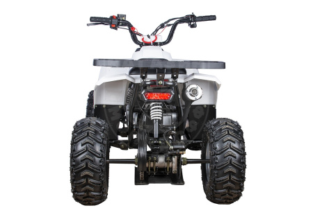 Yacota Квадроцикл YACOTA RAPOSA 110cc белый