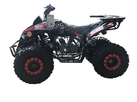 Apollo Квадроцикл Apollo PRO MAX - 125 чёрный