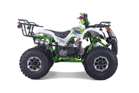 TAO motors Квадроцикл TAO 2022 T-FORCE PLATINUM зелёный