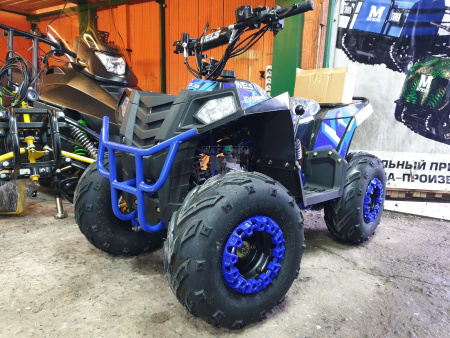 Подростковые Квадроцикл Wels EVO M 110