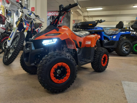 Yacota Квадроцикл Yacota RAPOSA 110cc 4т