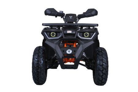TAO motors Квадроцикл RAPTOR 200