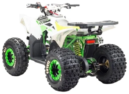 Motoland Квадроцикл MOTOLAND 125 COYOTE PRO green купить в Мопедофф www.9814555.ru