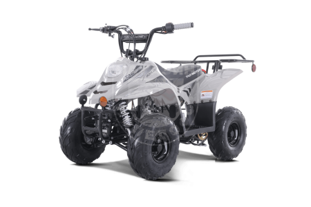 TAO motors Квадроцикл TAO 2022 Boulder серый