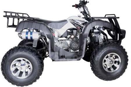 TAO motors Квадроцикл TAO BULL 200 чёрный