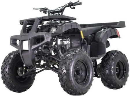 MTZ Квадроцикл MTZ 150 F black