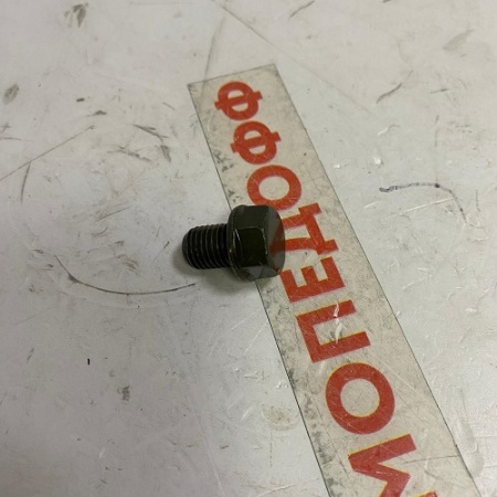 WhatsApp Image 2025-11-24 at 16.45.36 (1)