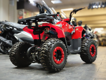Yacota Квадроцикл YACOTA RAPOSA 110cc красный