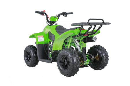 Детские Квадроцикл Tao Motor 110 Rock Green