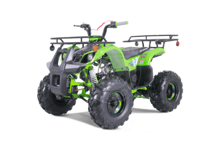 TAO motors Квадроцикл TAO 2022 T-FORCE зелёный