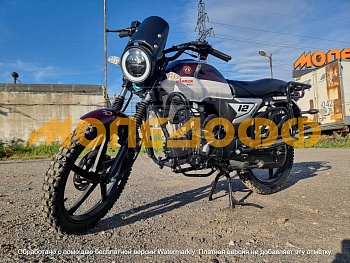 Мопед RATO Warrior 3.0 Rasberry 140 в Магазине Мопедофф +78129814555.
