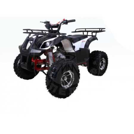 TAO motors Квадроцикл TAO NEW T-FORCE белый