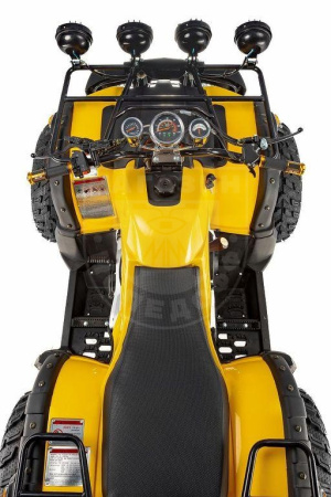RAPTOR Квадроцикл RAPTOR MAX PRO 250 (жёлтый)