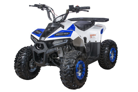 Yacota Квадроцикл YACOTA RAPOSA 110cc синий