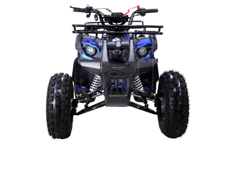 TAO motors Квадроцикл TAO NEW T-FORCE синий