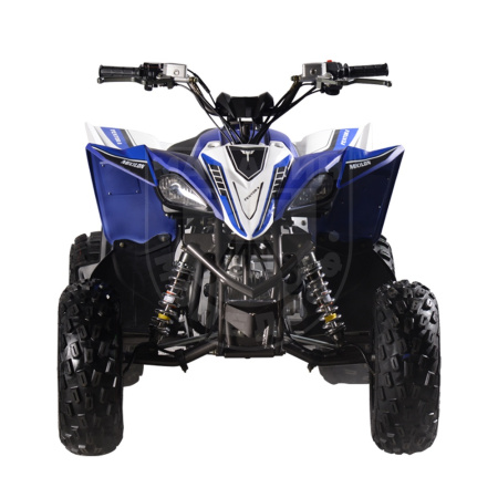 Mikilon Квадроцикл Mikilon Pentora 110L