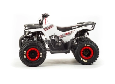 Bison Квадроцикл Bison ATV 125 Wild